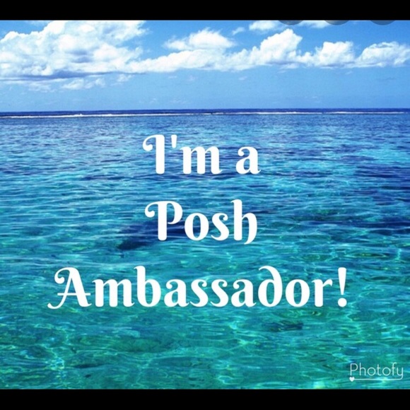 🫣*****PLEASE READ!!******POSH AMBASSADOR**SMOKE /PET FREE HOME. - Picture 2 of 6